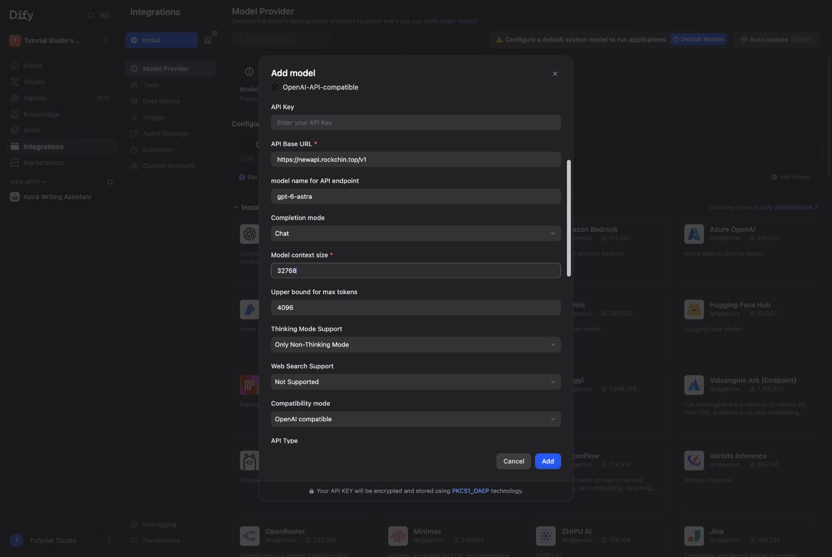 添加自定义模型。API Key 在截图前保持为空,实际运行时已配置。